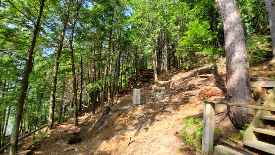 Cottage site cleared to grade among trees in Muskoka
